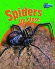 Image for Spiders Up Close