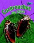 Image for Cockroaches Up Close