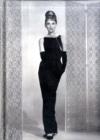 Image for Suedelux Journal - Audrey Hepburn