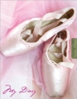 Image for Lock-Up Diary: Ballet Shoes