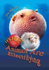 Image for It&#39;s True! Animals are electrifying (11)