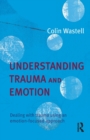 Image for Understanding Trauma and Emotion : Dealing with trauma using an emotion-focused approach