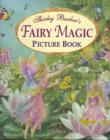 Image for Fairy Magic Picture Book