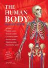 Image for Human Body Jigsaw Book
