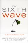 Image for The sixth wave  : how to succeed in a resource-limited world