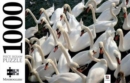 Image for Swans 1000 Piece Jigsaw