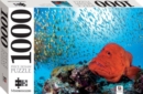 Image for Small Fish and Grouper 1000 Piece Jigsaw