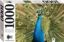Image for Peacock 1000 Piece Jigsaw