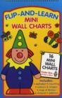 Image for Flip and Learn Mini Wall Charts