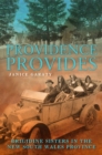 Image for Providence Provides : The Brigidine Sisters in the NSW Province