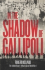 Image for In the Shadow of Gallipoli