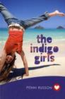 Image for The Indigo Girls