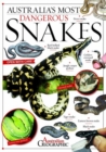 Image for Australia&#39;s most dangerous snakes