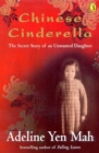 Image for Chinese Cinderella: The Mystery Of The Song Dynasty Painting