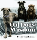 Image for Old dog wisdom  : what old dogs can teach us