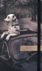 Image for Elastic Journal Small: Dalmation in Car