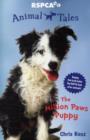 Image for Animal Tales 1: The Million Paws Puppy