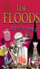 Image for Floods 12: Bewitched