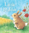 Image for Little Rabbit