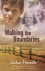 Image for Walking The Boundaries.