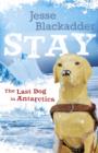 Image for Stay : The Last Dog In Antarctica
