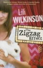 Image for The zigzag effect