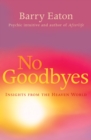 Image for No goodbyes  : insights from the heaven world