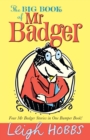 Image for The Big Book of Mr Badger