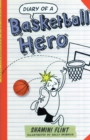 Image for Diary of a Basketball Hero