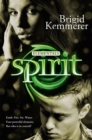 Image for Spirit: Elementals 3