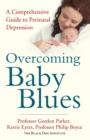 Image for Overcoming baby blues: a complete guide to perinatal depression