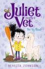 Image for Big Flood: Juliet, Nearly A Vet