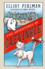Image for Adventures of Catvinkle
