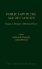 Image for Public Law in the Age of Statutes