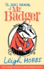 Image for The Big Book of Mr Badger