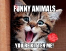 Image for The Punny Animals : The Meme-Ing of Life - You&#39;re Kitten Me!