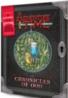 Image for Adventure Time : The Wizard