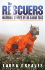 Image for The Rescuers
