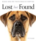 Image for Lost But Found