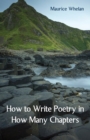 Image for How to Write Poetry in How Many Chapters