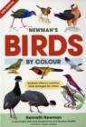 Image for Newman&#39;s birds by colour