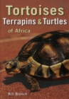 Image for Tortoises, terrapins and turtles of Africa