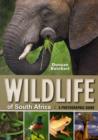 Image for Wildlife of South Africa  : a photographic guide