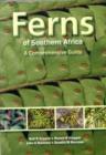 Image for Ferns of Southern Africa