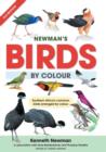 Image for Newman&#39;s Birds By Colour Southern Africa : Southern Africa&#39;s common birds arranged by colour