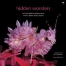 Image for Hidden wonders