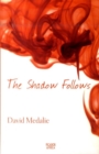 Image for The shadow follows