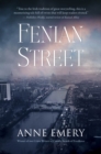 Image for Fenian Street  : a mystery