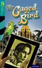 Image for Oxford Reading Tree TreeTops Graphic Novels: Level 16: The Caged Bird