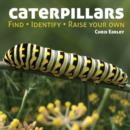 Image for Caterpillars : Find - Identify - Raise Your Own